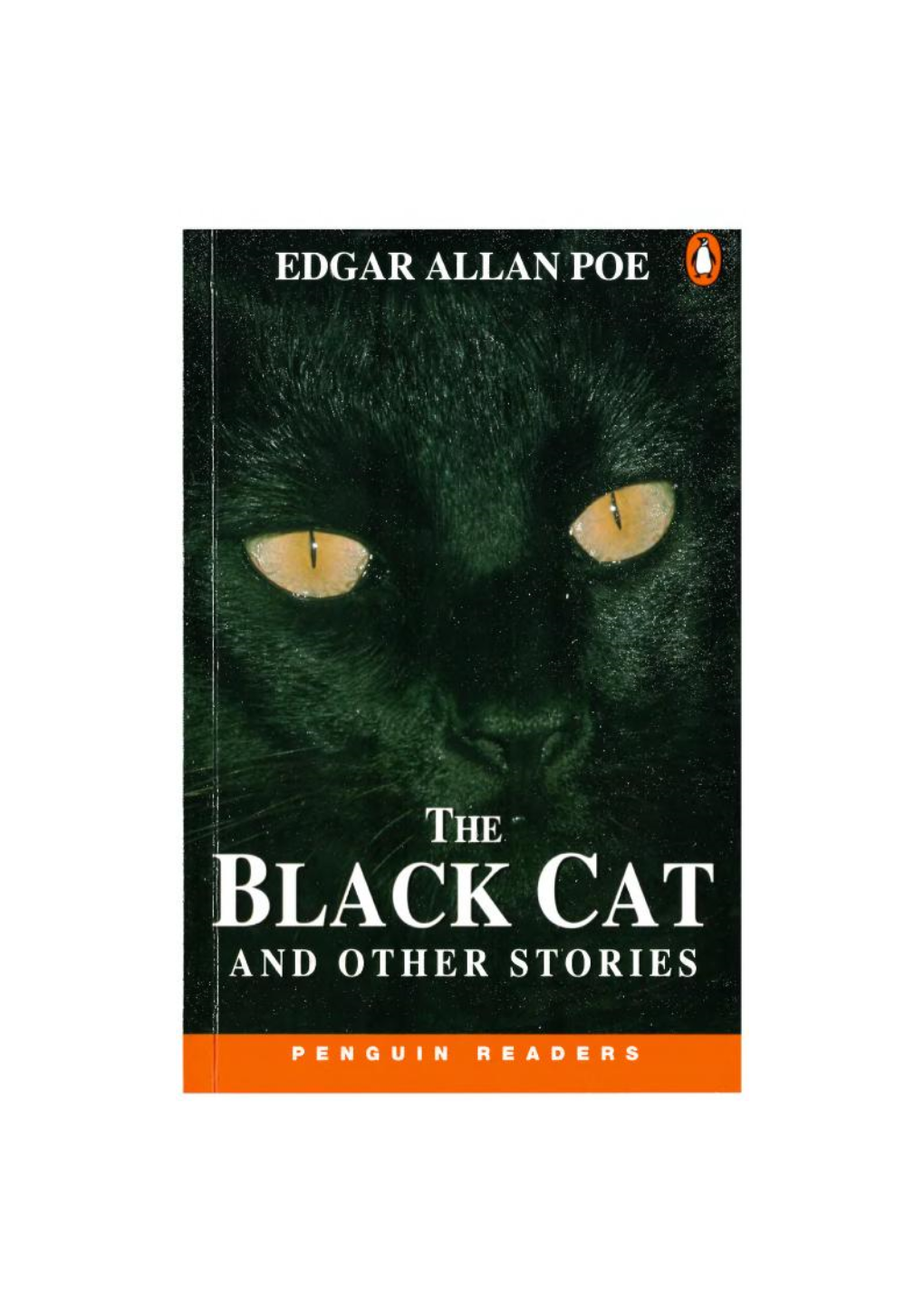 The Black Cat and Other Stories 0582417740