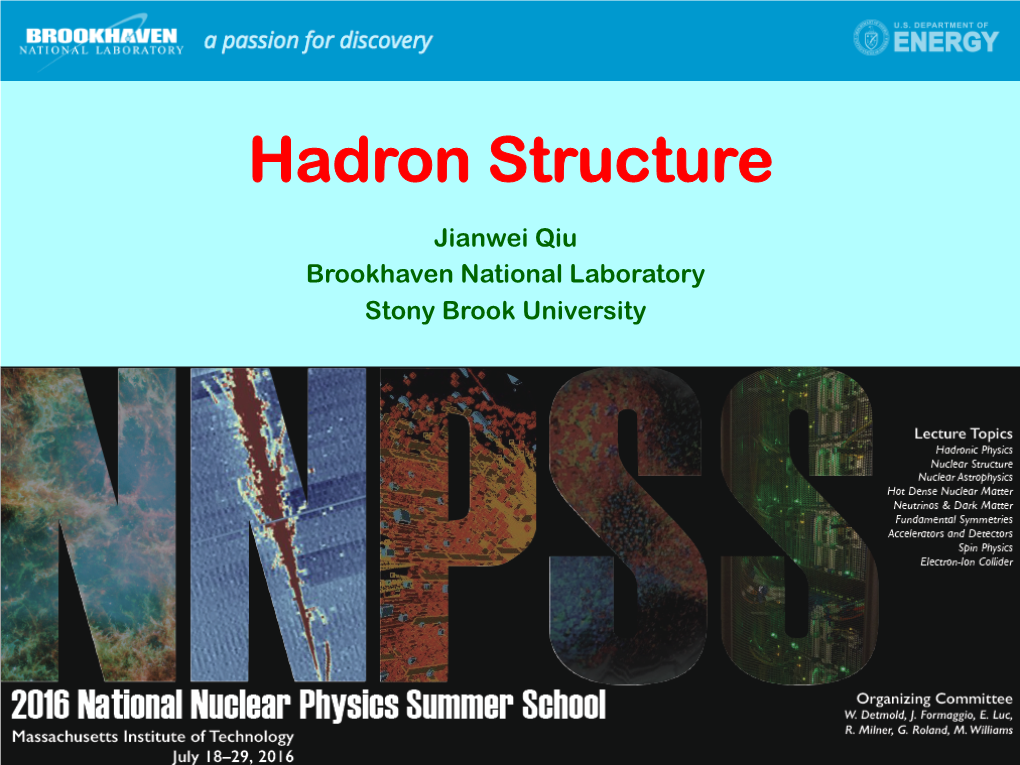 Hadron Structure