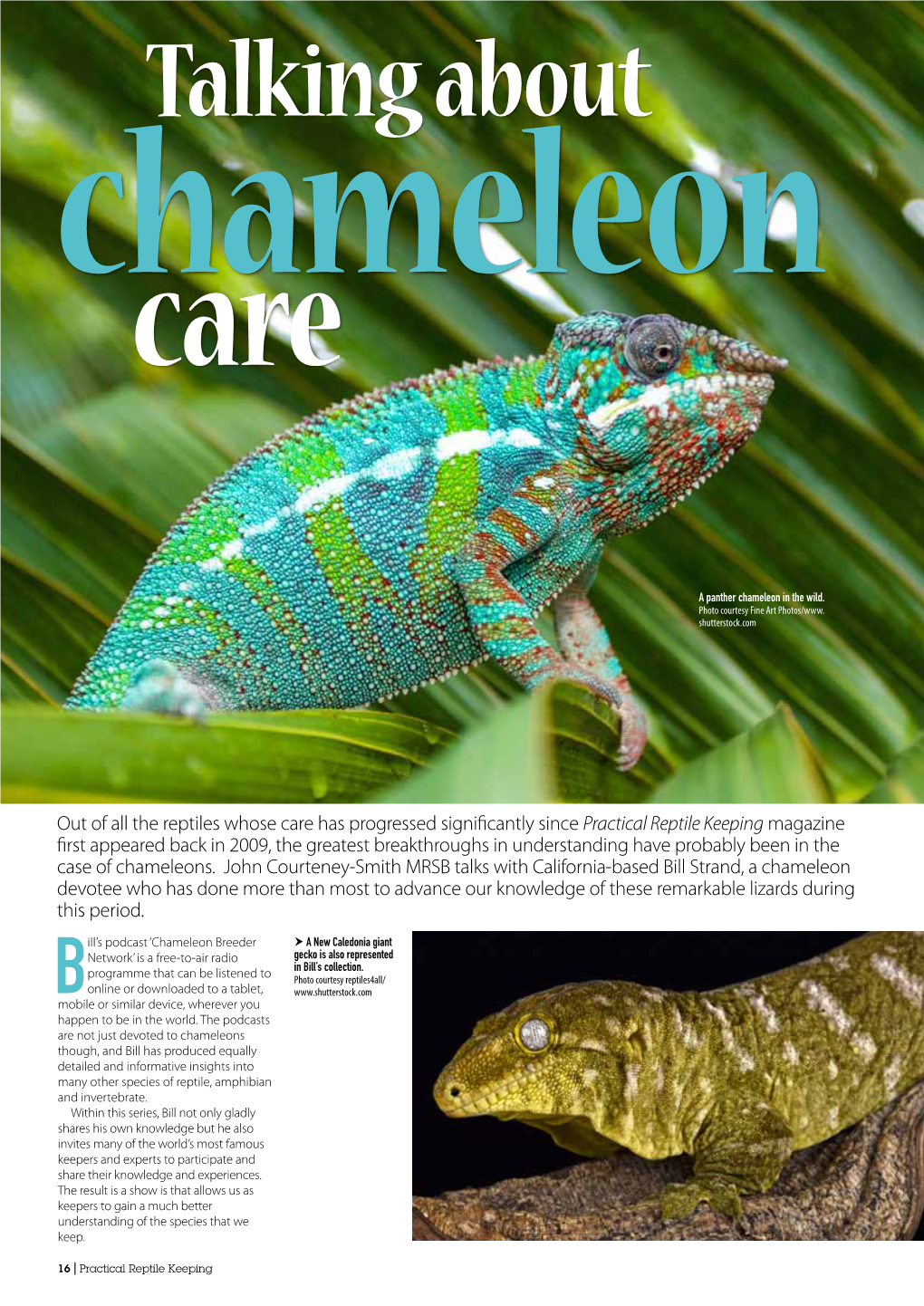 Chameleoncare