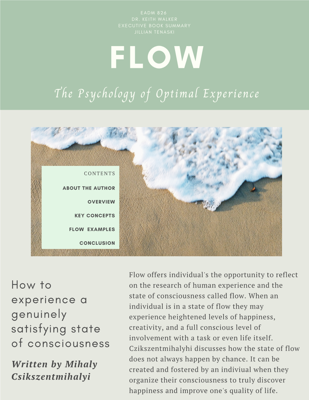 Flow the Psychology of Optimal Experience -Mihaly Csikszentmihalyi