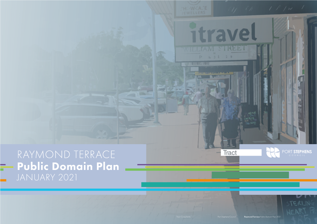 RAYMOND TERRACE Public Domain Plan JANUARY 2021