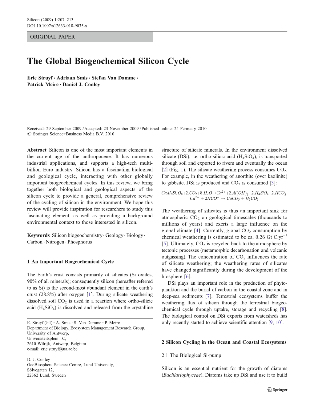 The Global Biogeochemical Silicon Cycle