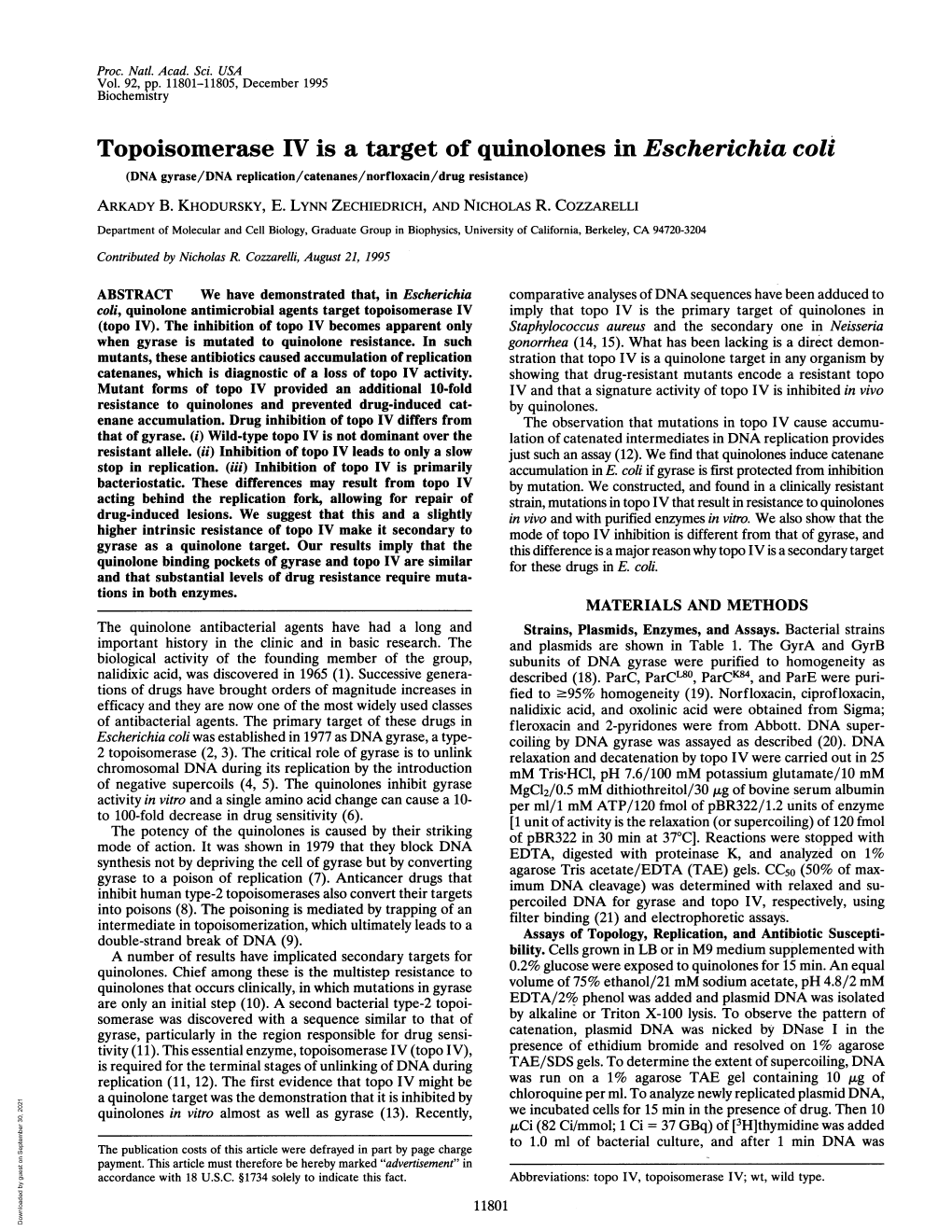 Topoisomerase IV Is a Target of Quinolones in Escherichia Coli (DNA Gyrase/DNA Replication/Catenanes/Norfloxacin/Drug Resistance) ARKADY B