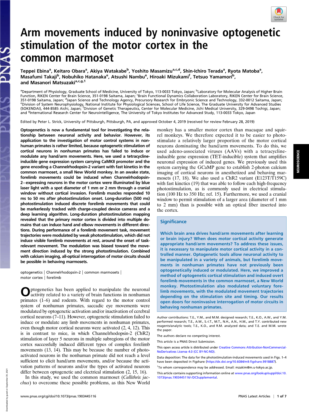 Arm Movements Induced by Noninvasive Optogenetic Stimulation of the Motor Cortex in the Common Marmoset