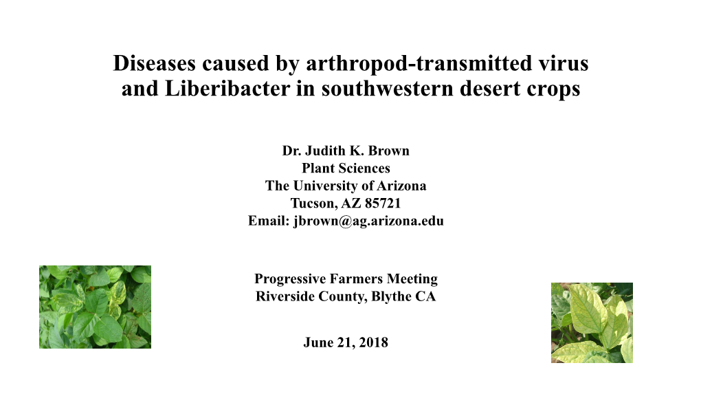 Diseases Caused by Arthropod-Transmitted Virus and Liberibacter in Southwestern Desert Crops