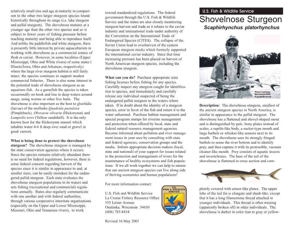 Shovelnose Sturgeon Brochure