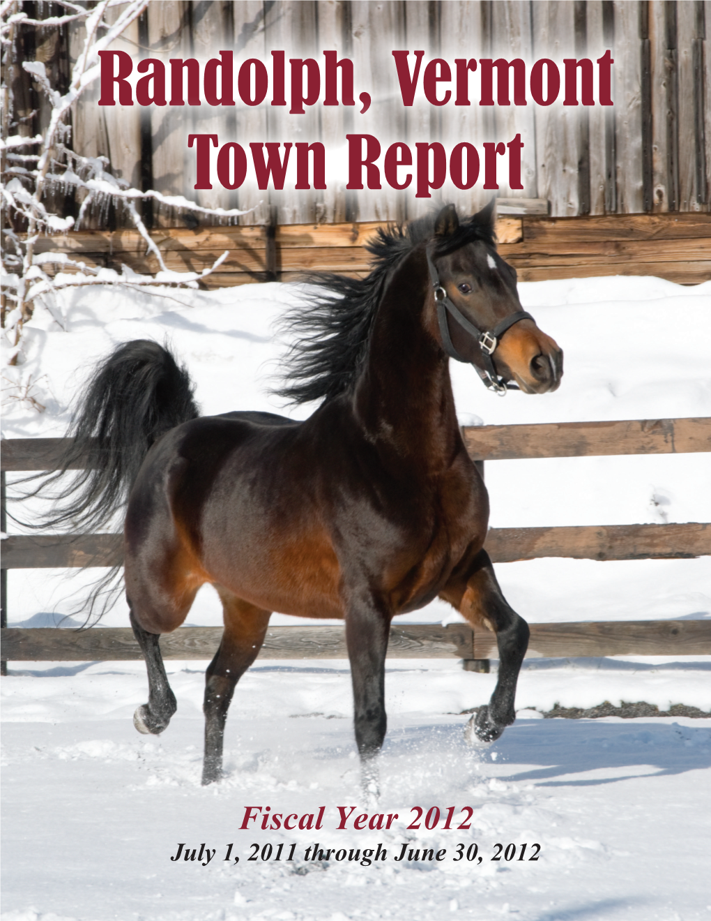 Town Report 2012