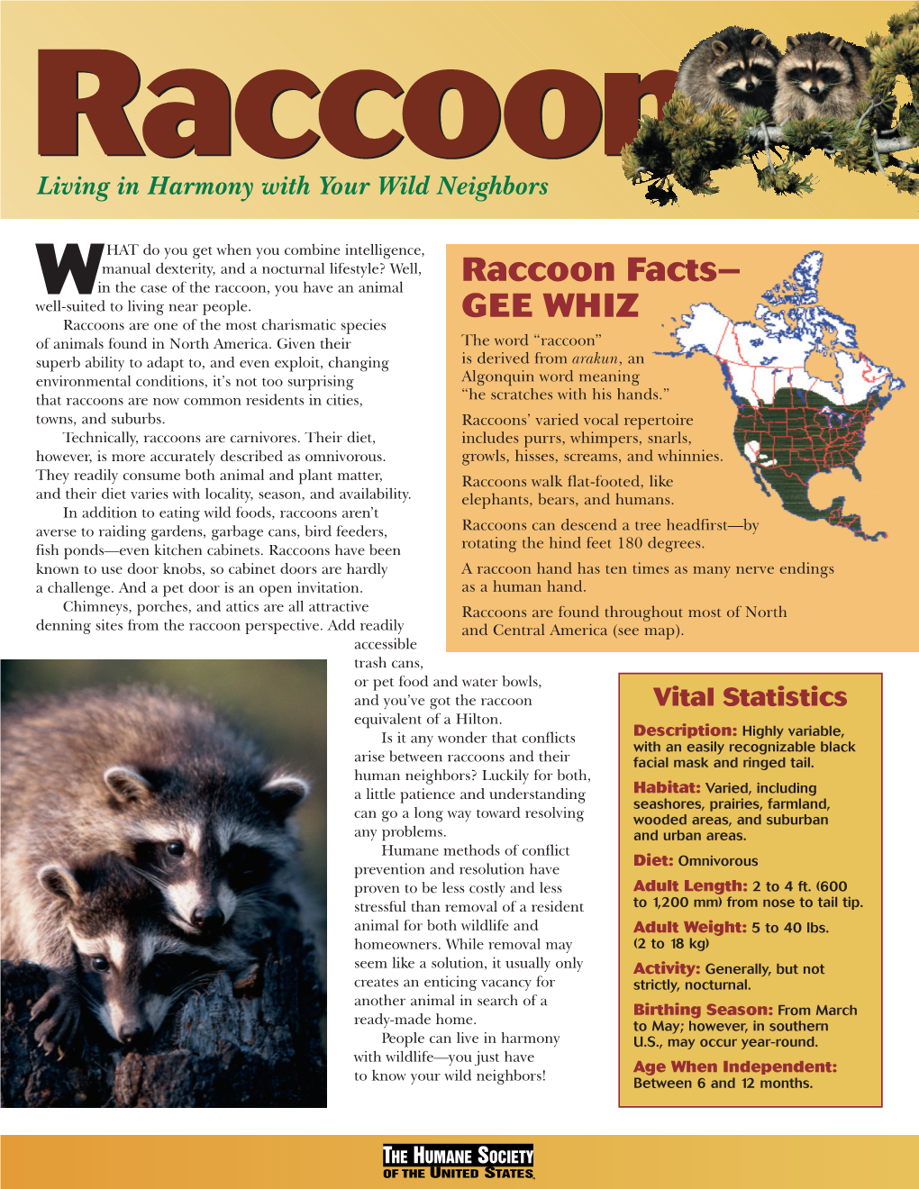 WIRES-Raccoon Factsheet-HSUS