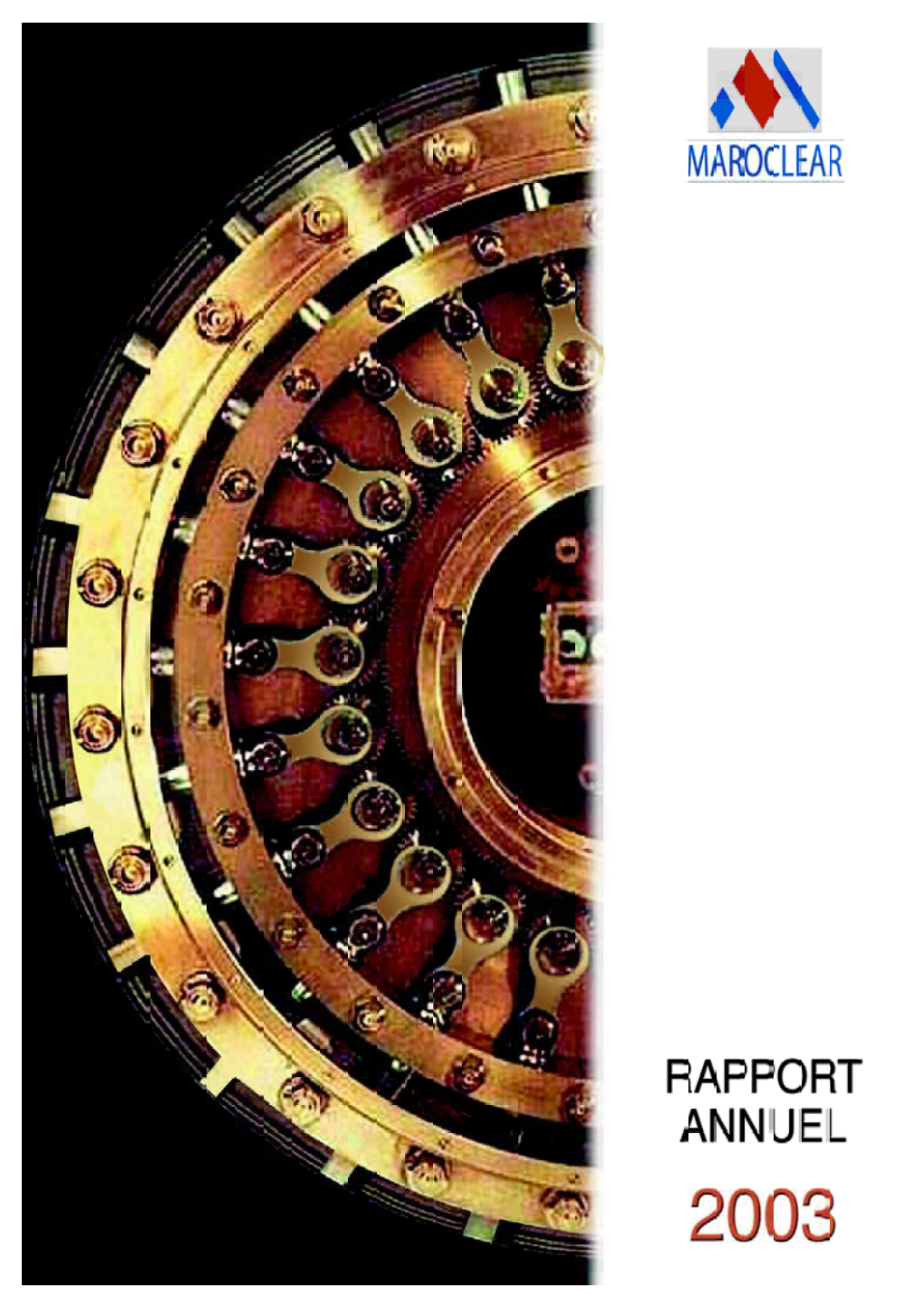 Rapport Annuel 2003.Pdf