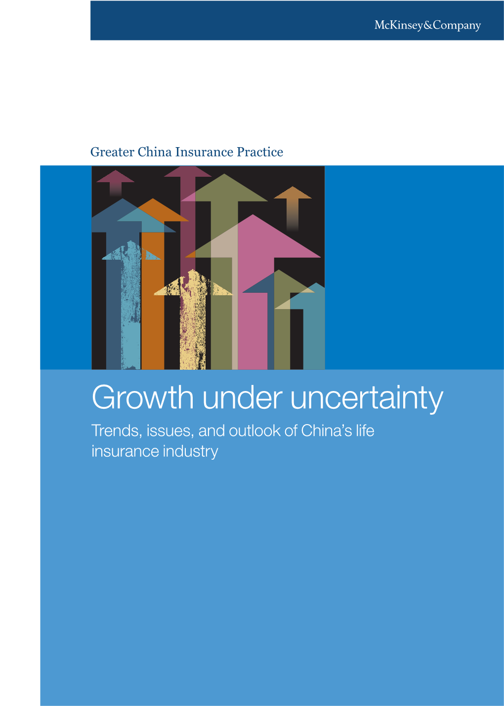 Growth Under Uncertainty: Trends, Issues, and Outlook of China's Life