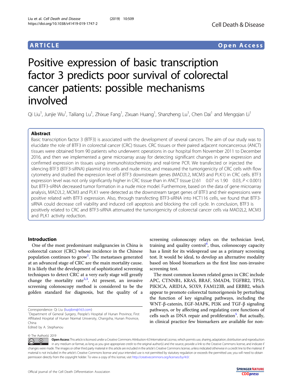 Positive Expression of Basic Transcription Factor 3