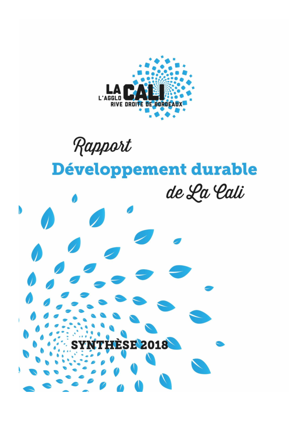Rapport Développement Durable 2018 De La Cali 2 Éditorial