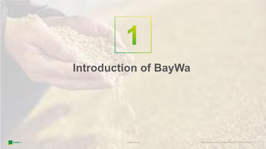 Introduction of Baywa