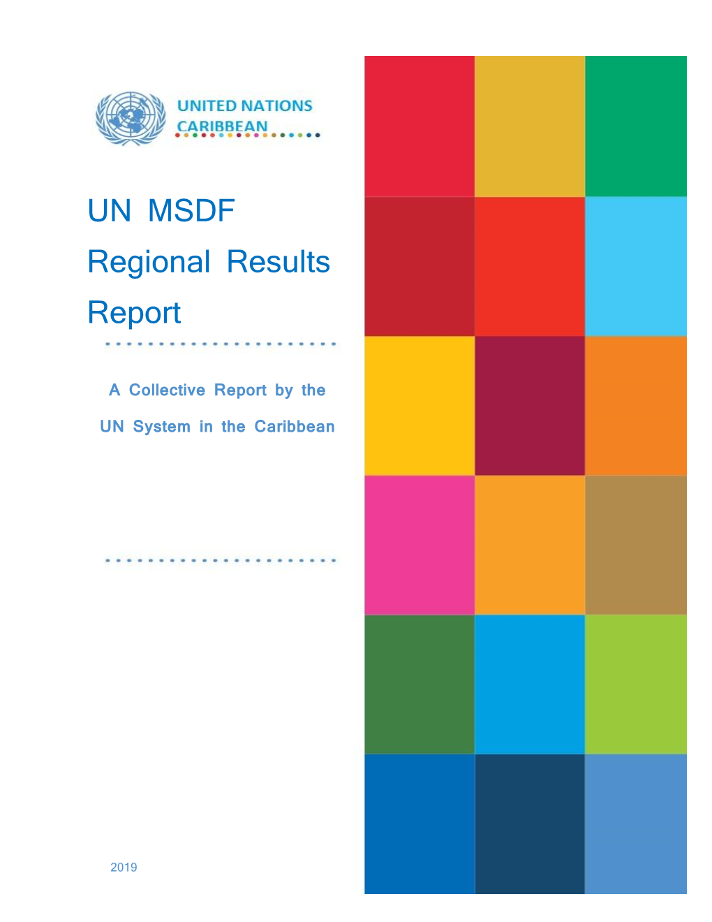 UN MSDF Regional Results Report