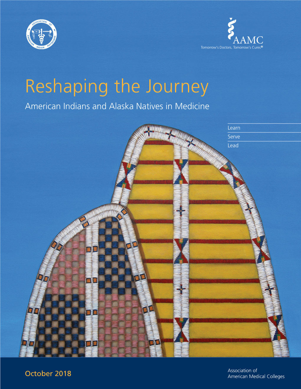 Reshaping the Journey: American Indians and Alaska Natives in Medicine