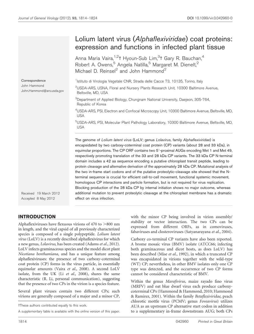 Lolium Latent Virus (Alphaflexiviridae) Coat Proteins: Expression and Functions in Infected Plant Tissue