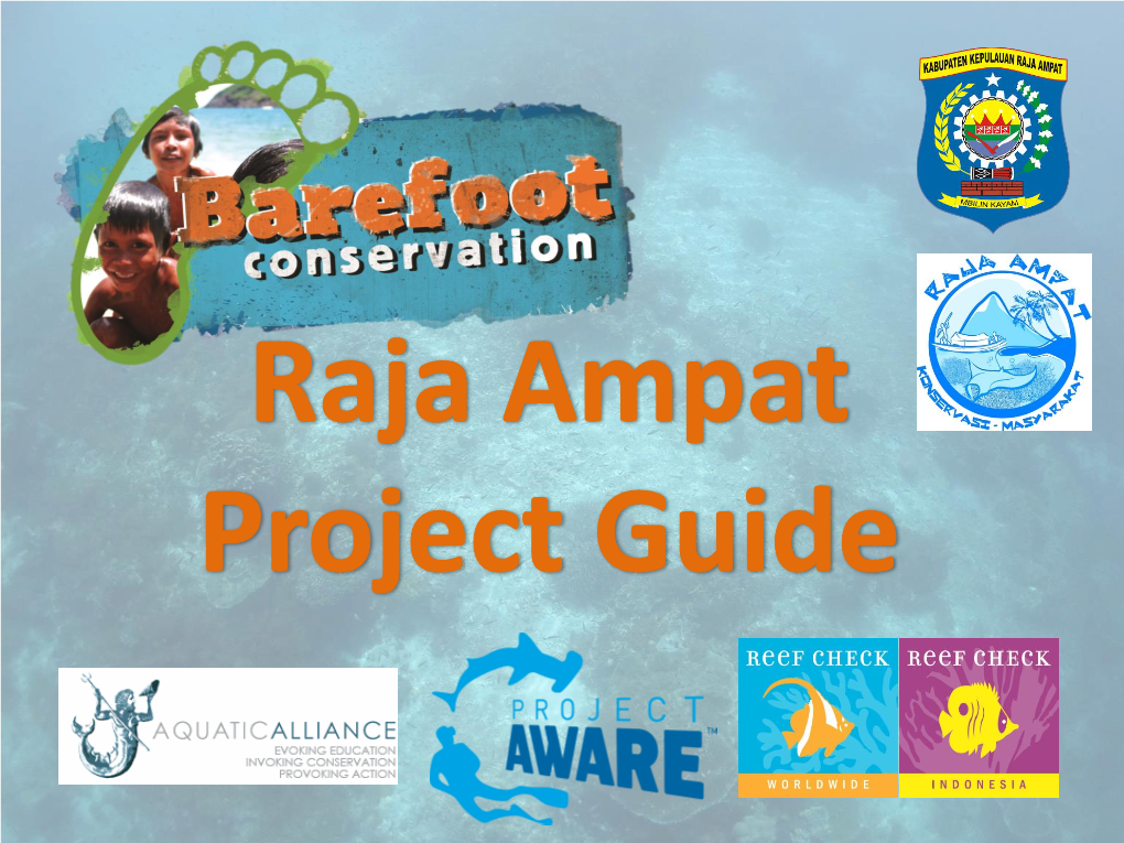 Raja Ampat Project Guide