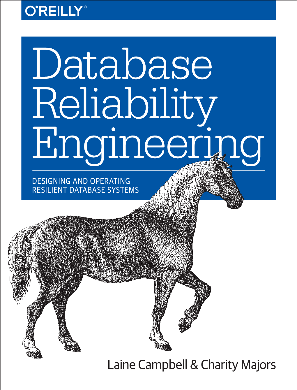 Database Reliability Engineering DESIGNING and OPERATING RESILIENT DATABASE SYSTEMS