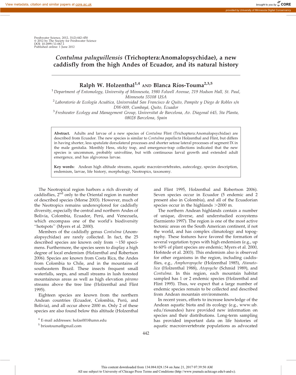 (Trichoptera:Anomalopsychidae), a New Caddisfly from the High Andes of Ecuador, and Its Natural History