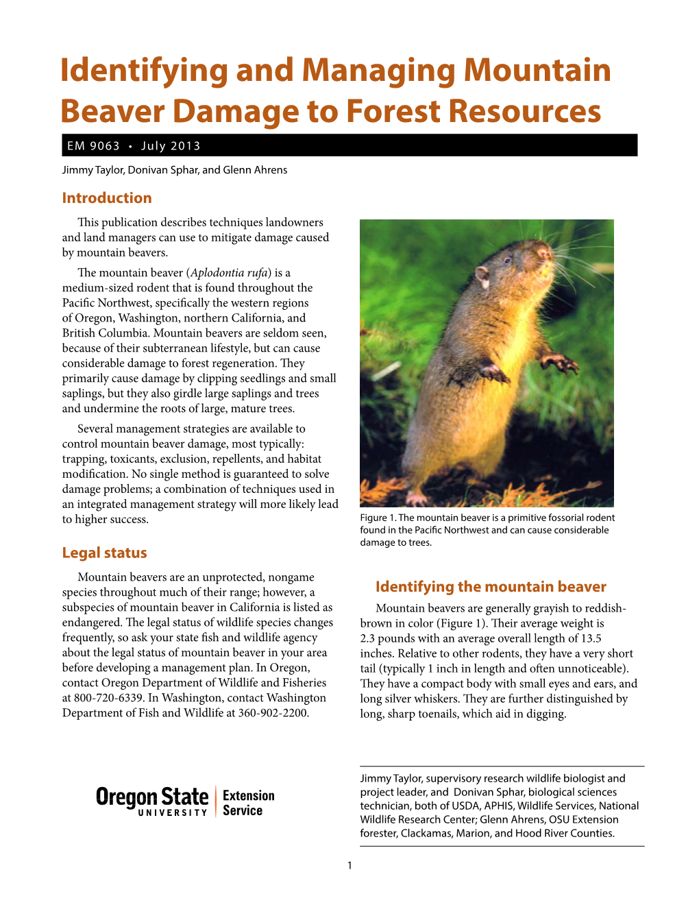 Identifying and Managing Mountain Beaver Damage to Forest Resources EM 9063 • July 2013