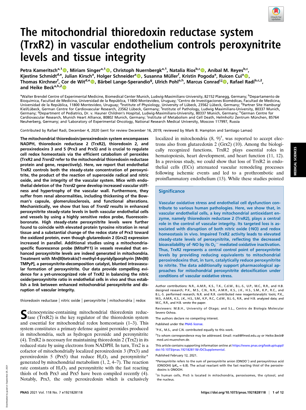 (Trxr2) in Vascular Endothelium Controls Peroxynitrite Levels and Tissue Integrity