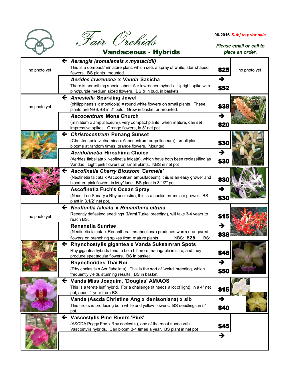 Fair Orchids Please Email Or Call to Vandaceous - Hybrids Place an Order
