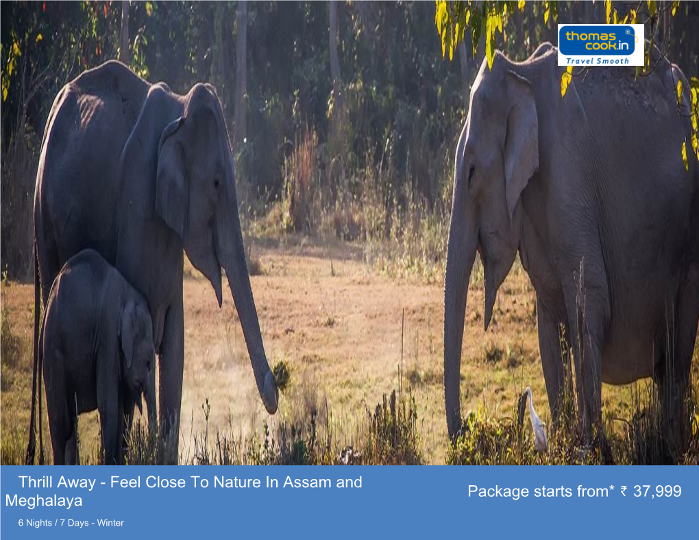 Feel Close to Nature in Assam and Meghalaya Package Starts From