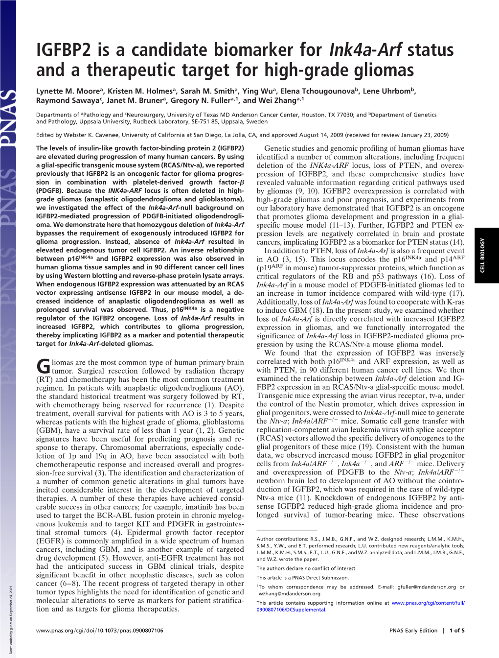 IGFBP2 Is a Candidate Biomarker for Ink4a-Arf Status and a Therapeutic Target for High-Grade Gliomas