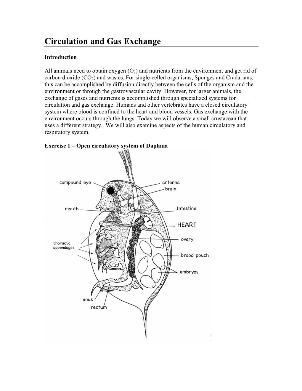 Circulation and Gas Exchange