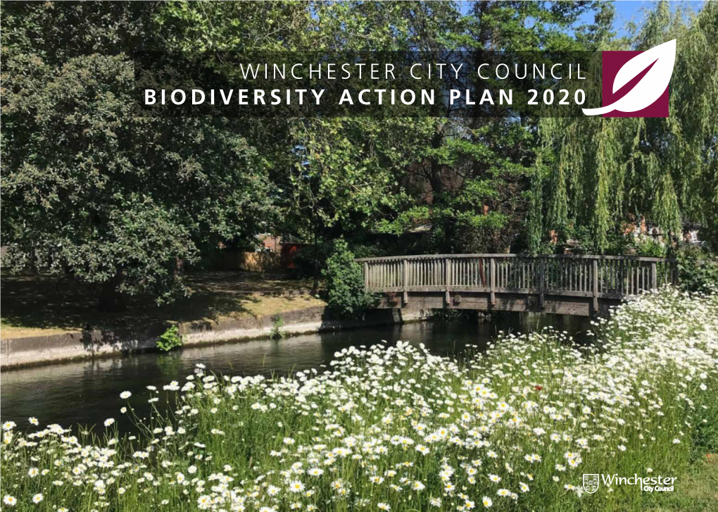 Winchester City Council Biodiversity Action Plan 2020