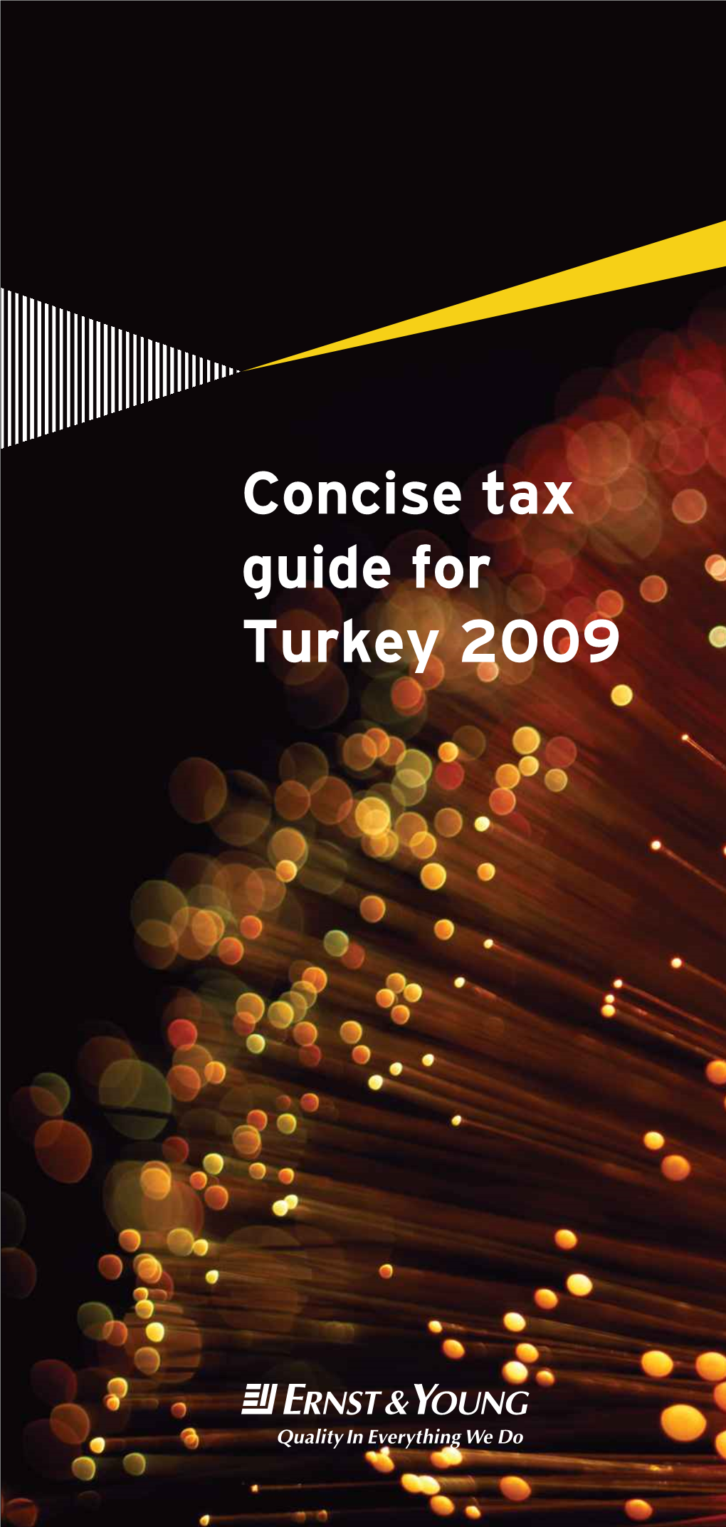 Concise Tax Guide for Turkey 2009