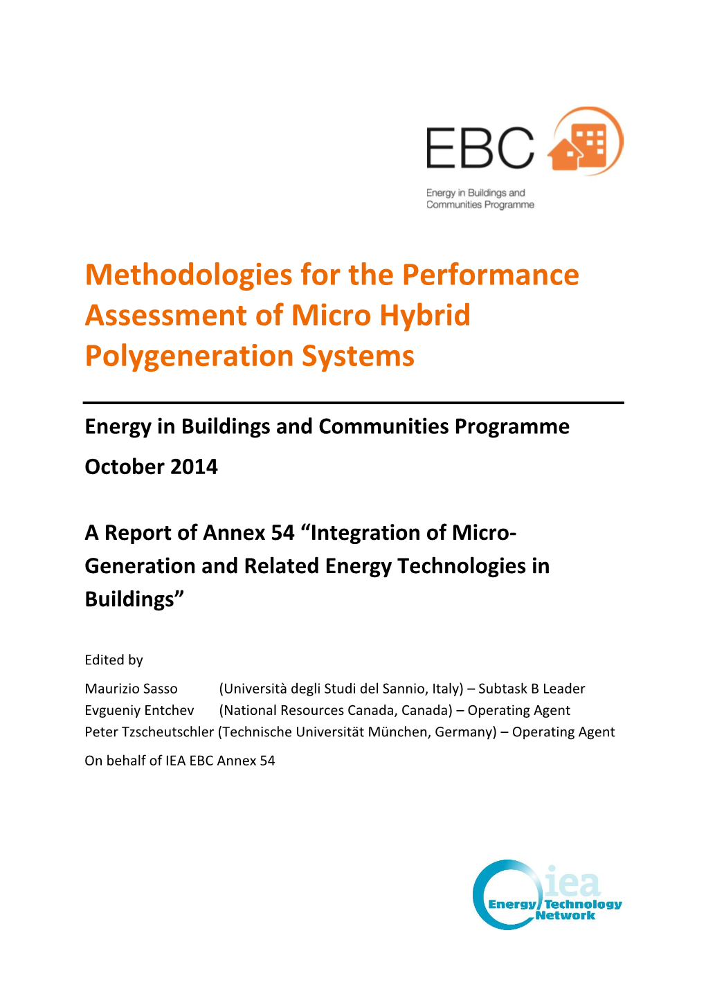Methodologies for the Performance Assessment of Micro Hybrid Polygeneration Systems