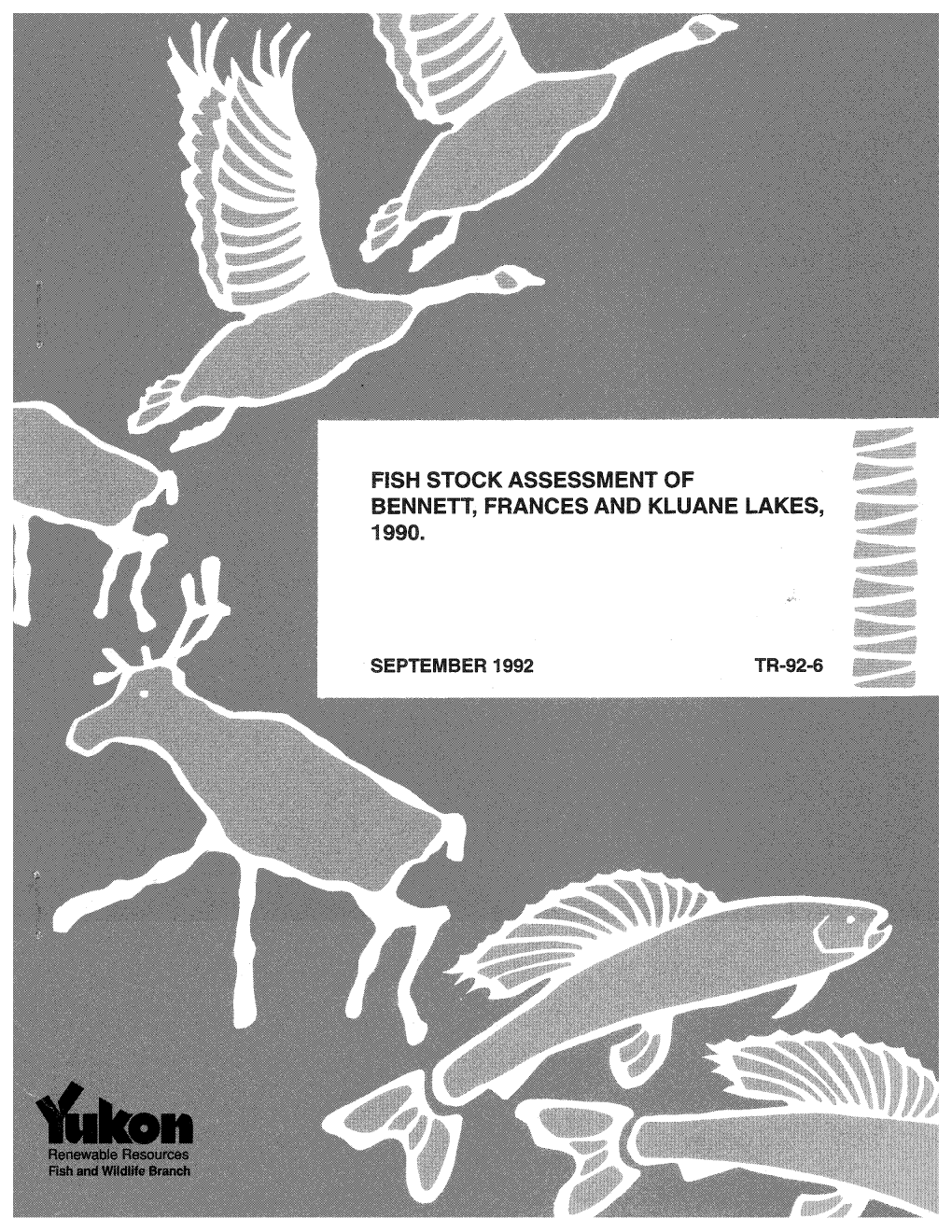 Fish Stock Assessment of Bennett, Frances and Kluane Lakes, 1990