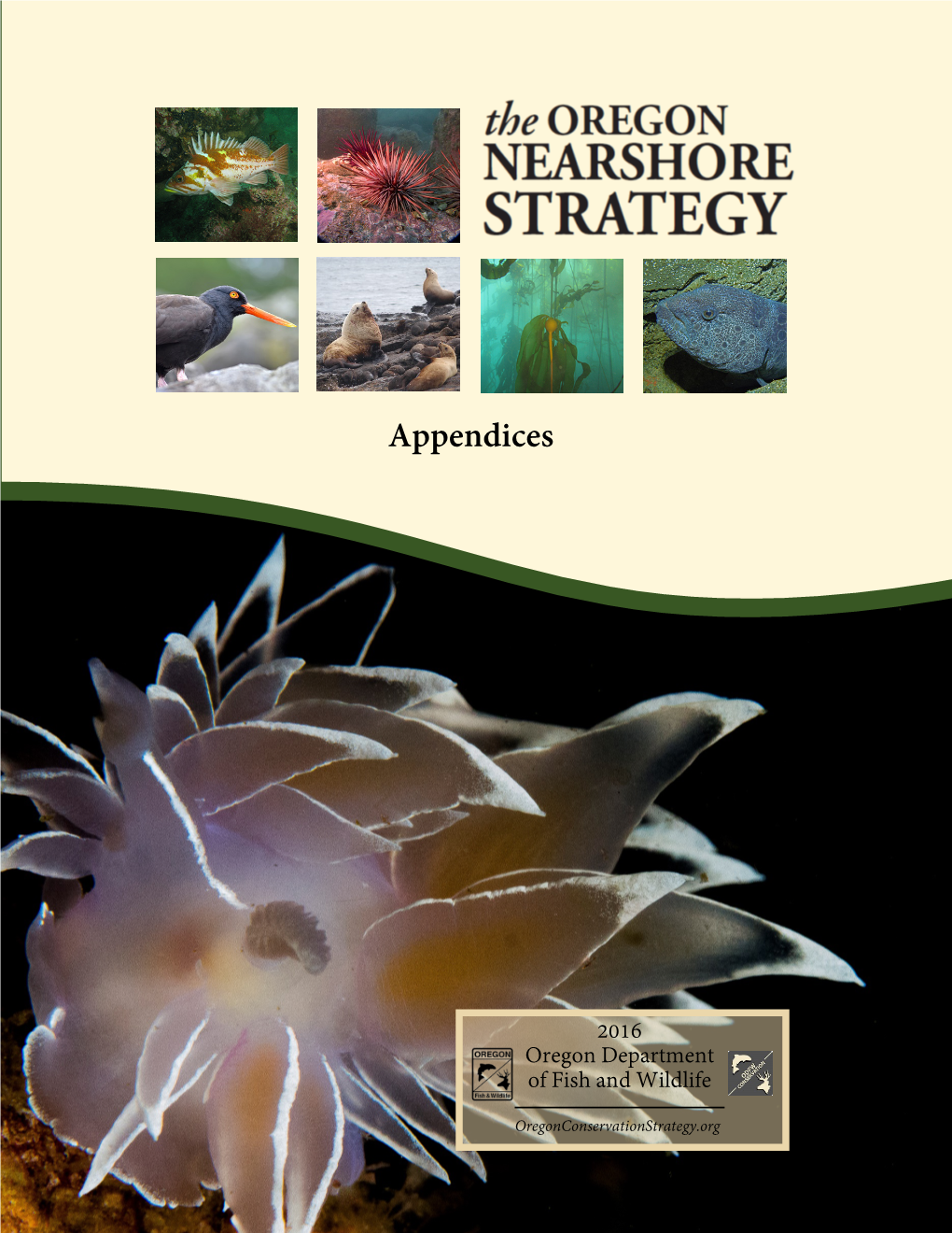 Nearshore Appendices E - G