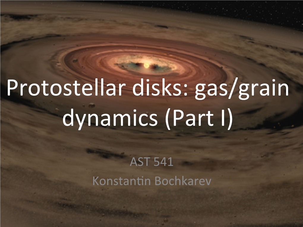 Protostellar Disks: Gas/Grain Dynamics (Part I)