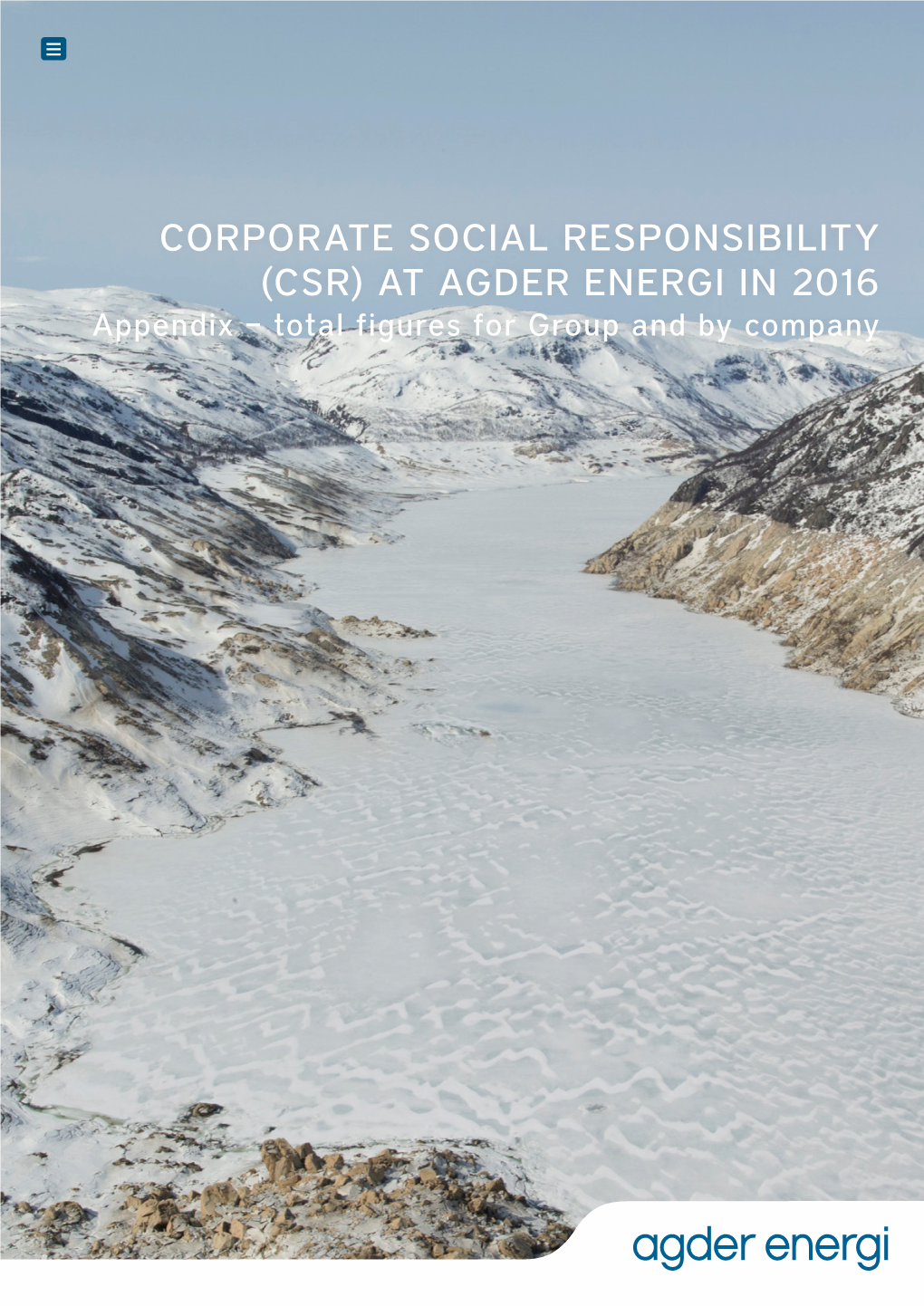 CORPORATE SOCIAL RESPONSIBILITY (CSR) at AGDER ENERGI in 2016 Appendix – Total Figures for Group and by Company