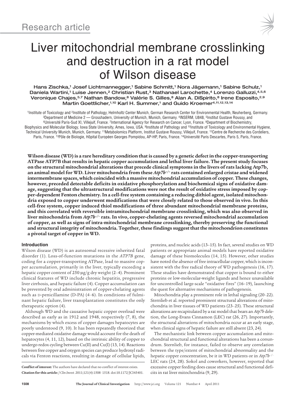 Liver Mitochondrial Membrane Crosslinking and Destruction in a Rat