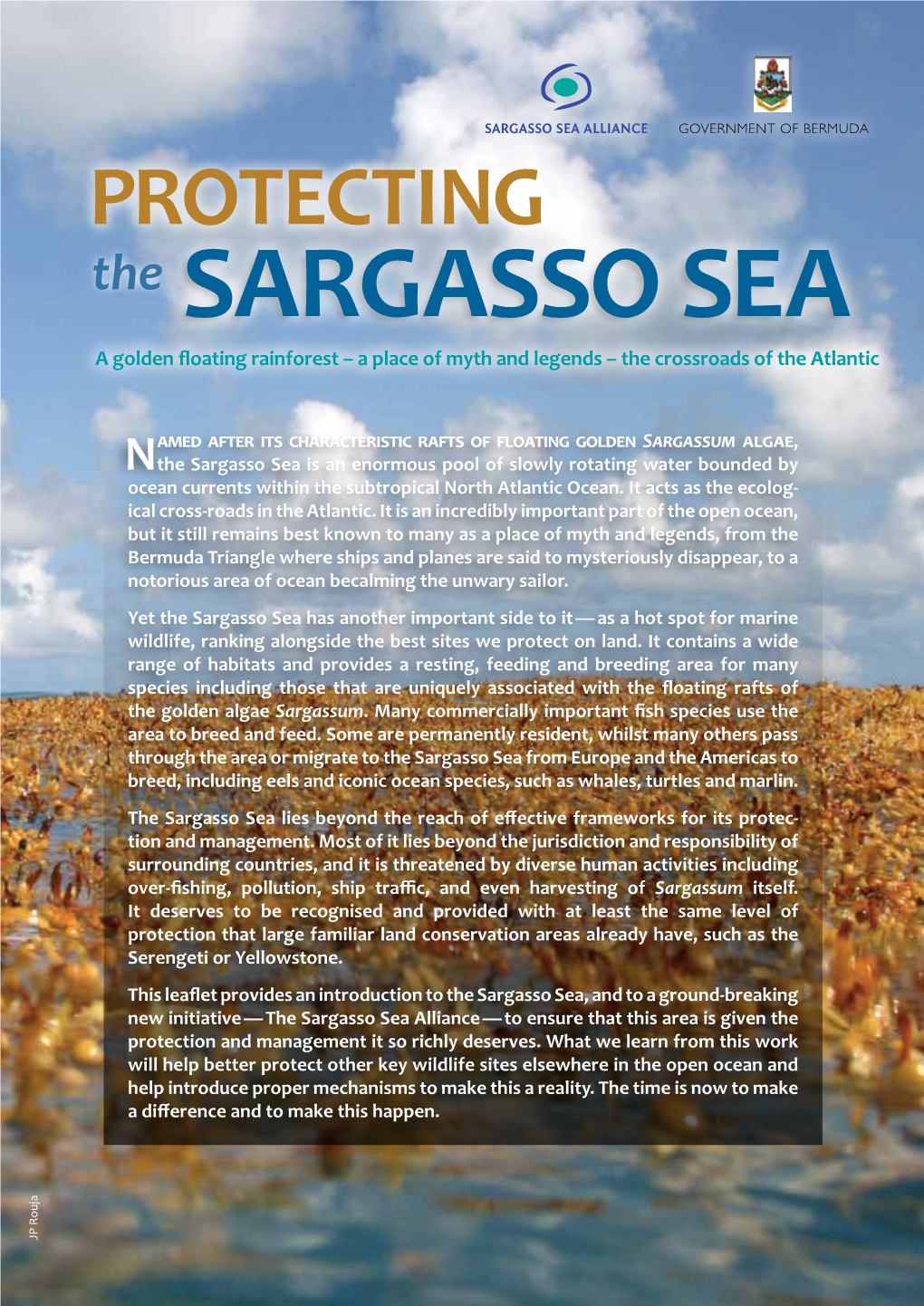 Sargasso Sea Commission