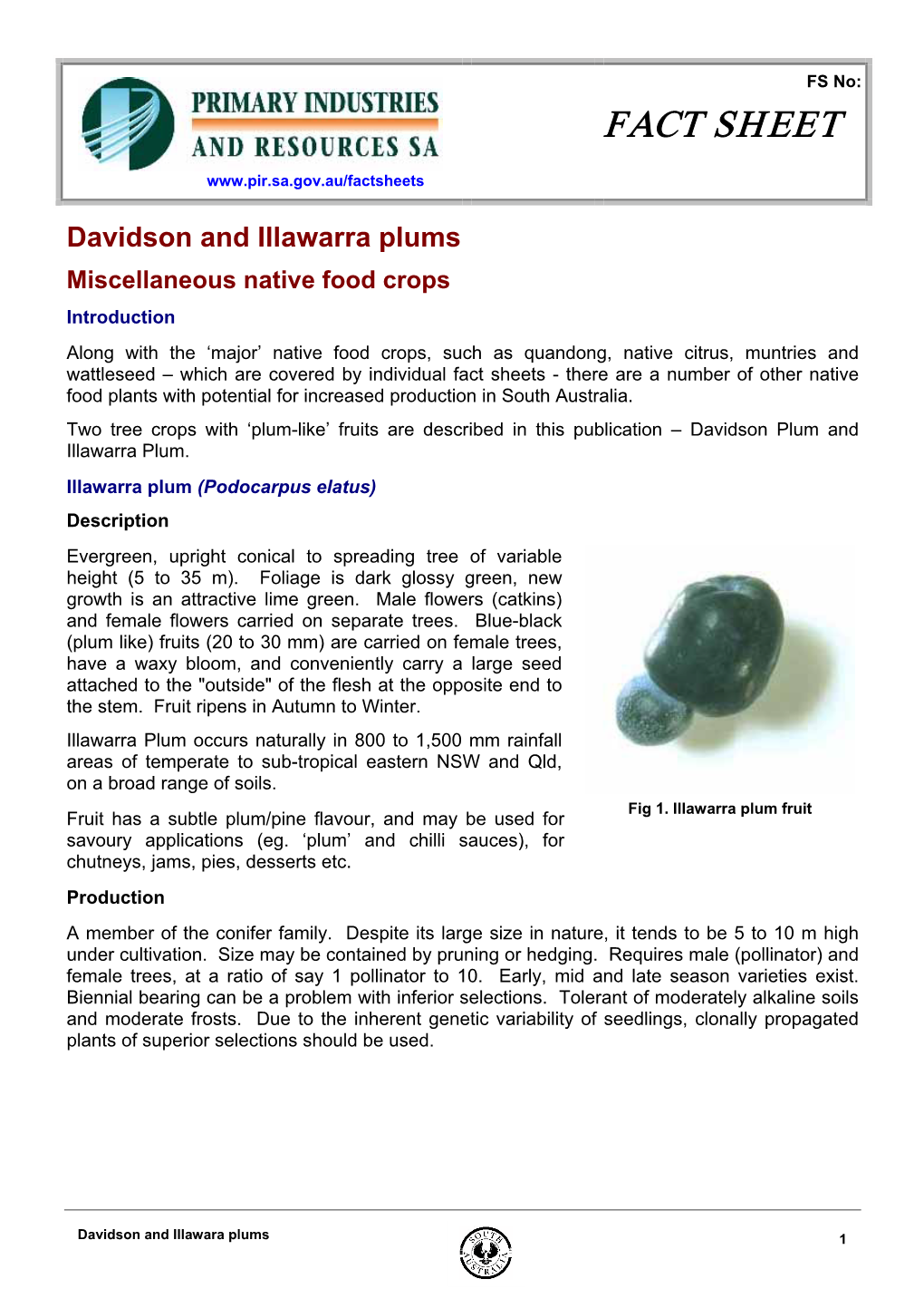 Davidson and Illawara Plums 1 Davidson Plum (Davidsonia Pruriens) Description the Davidson Plum Is Known As One of the Best of the Native ‘Plums’