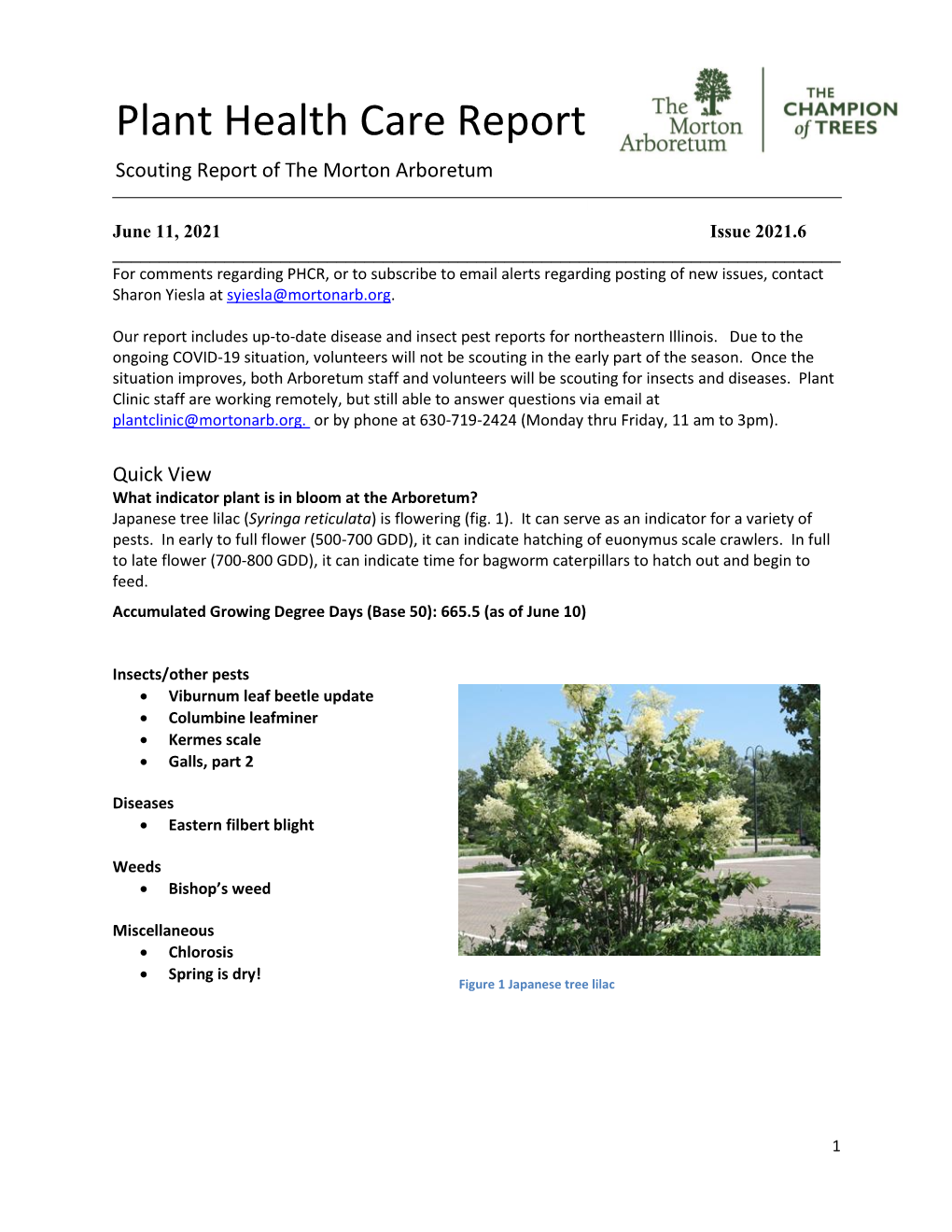 Plant Health Care Report Scouting Report of the Morton Arboretum