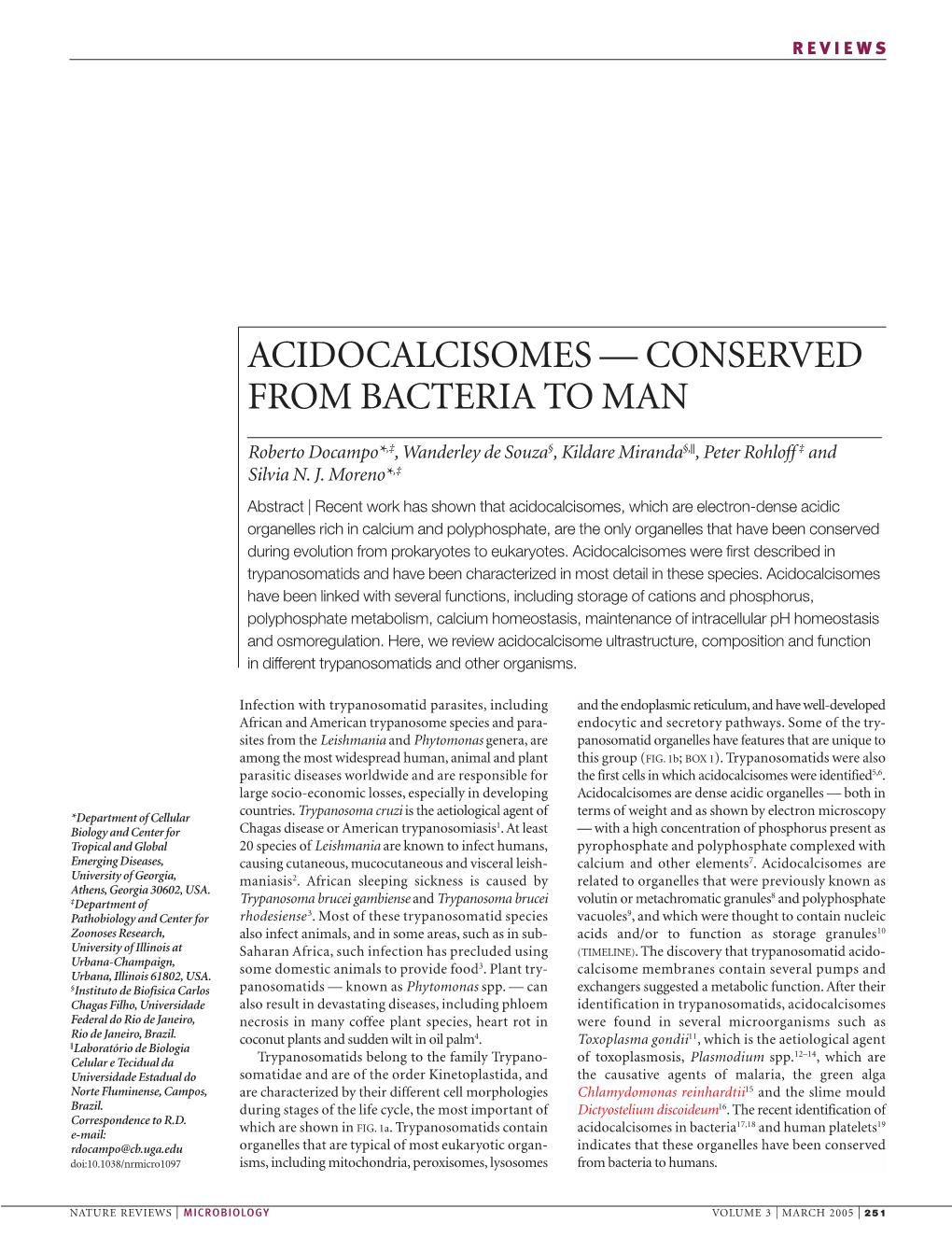 Acidocalcisomes — Conserved from Bacteria to Man