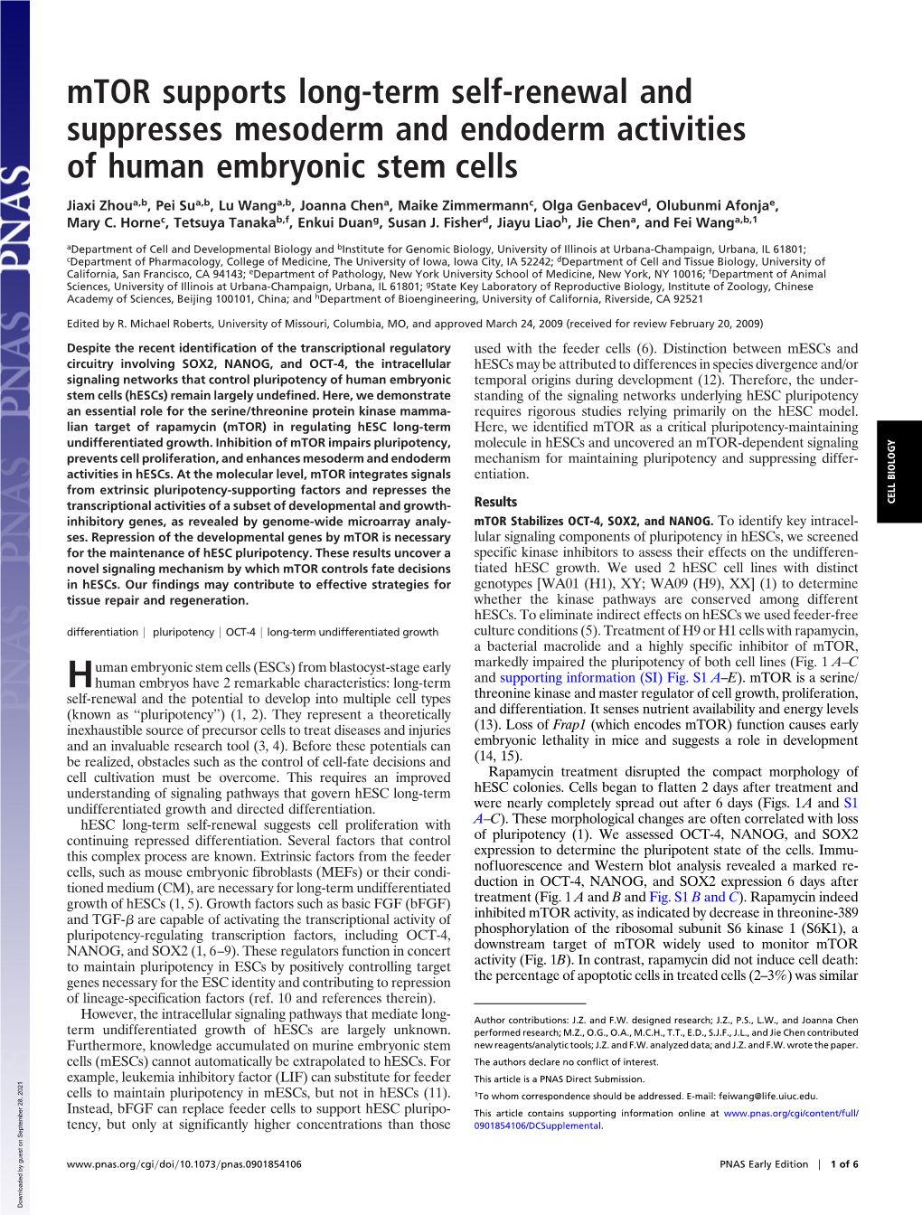 Mtor Supports Long-Term Self-Renewal and Suppresses Mesoderm and Endoderm Activities of Human Embryonic Stem Cells