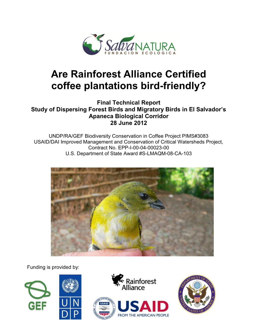 Are Rainforest Alliance Certified Coffee Plantations Bird-Friendly?