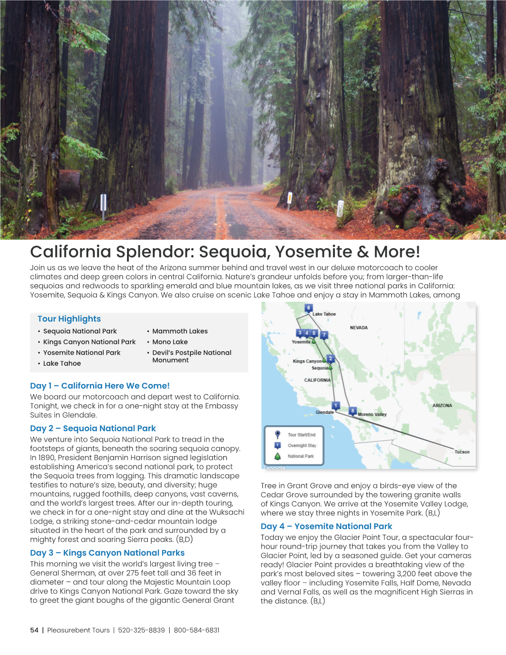 California Splendor: Sequoia, Yosemite & More!