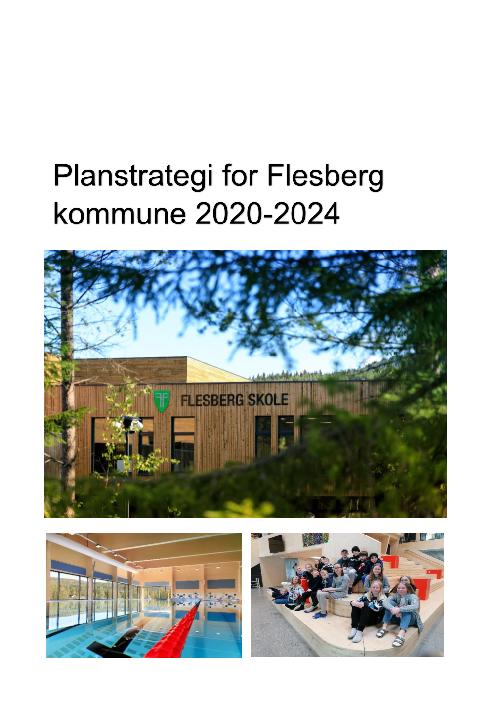 Planstrategi for Flesberg Kommune 2020-2024