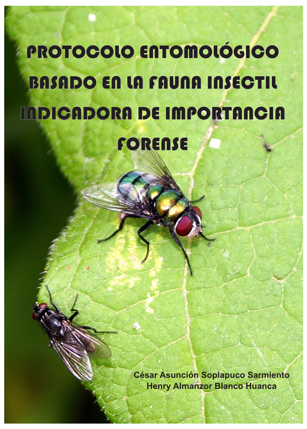 Libro Protocolo Etimológico Basado En La Fauna Insectil Indicadora De