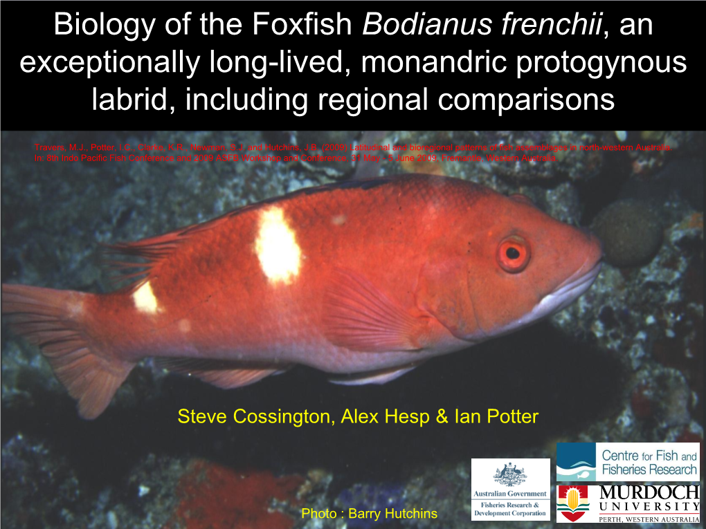 Latitudinal Differences in the Biology of the Foxfish Bodianus Frenchii, An