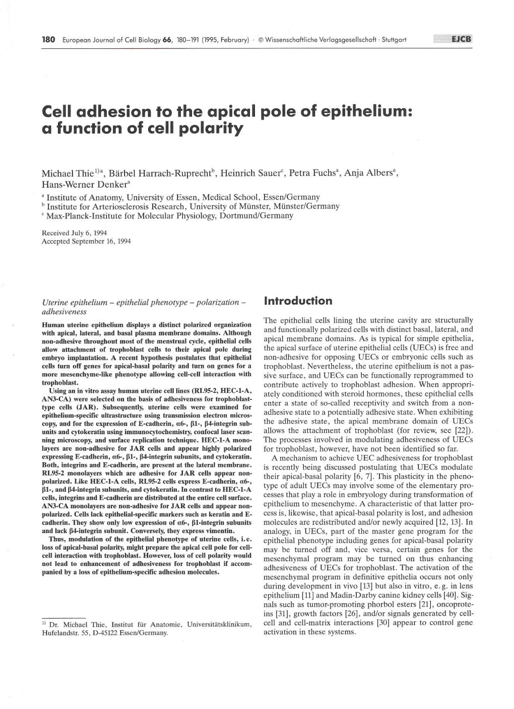 Cell Adhesion to the Apical Pole of Epithelium: a Function of Ce 11 Polarity