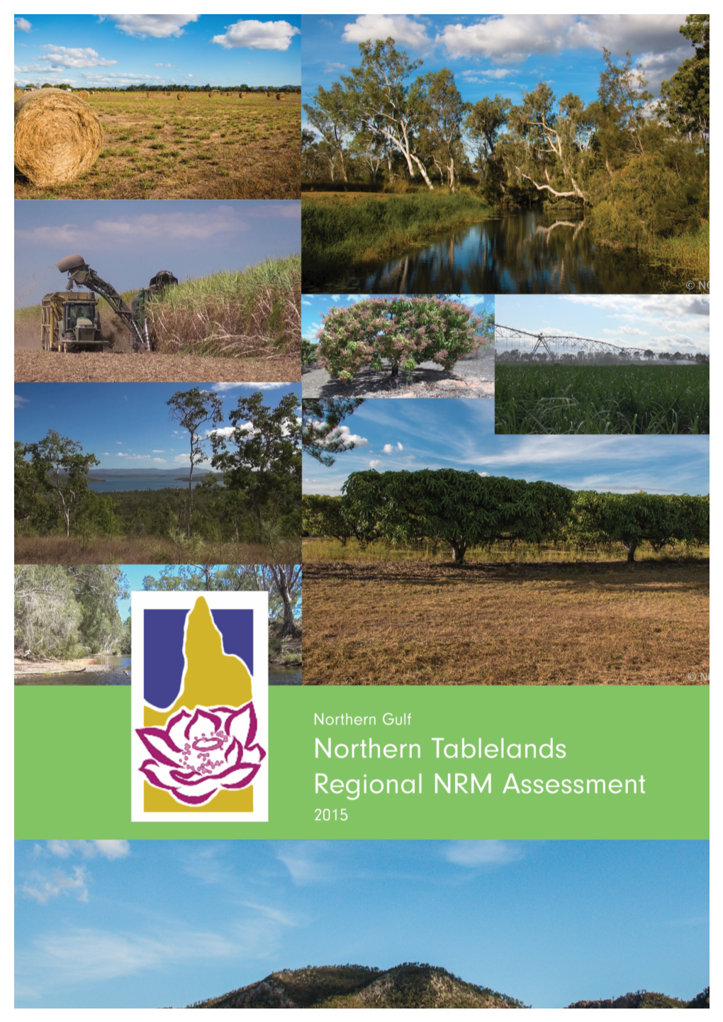 Northern Tablelands NRM Assessment