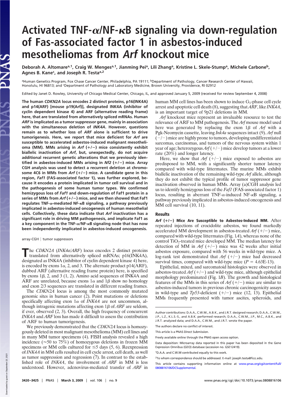 B Signaling Via Down-Regulation of Fas-Associated Factor 1 in Asbestos-Induced Mesotheliomas from Arf Knockout Mice